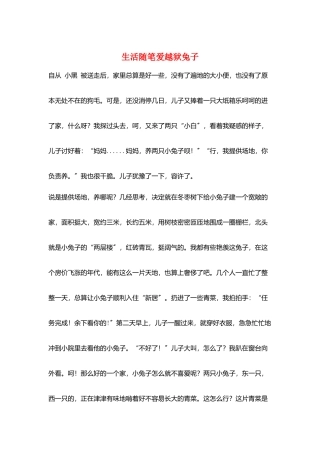 生活随笔爱越狱兔子