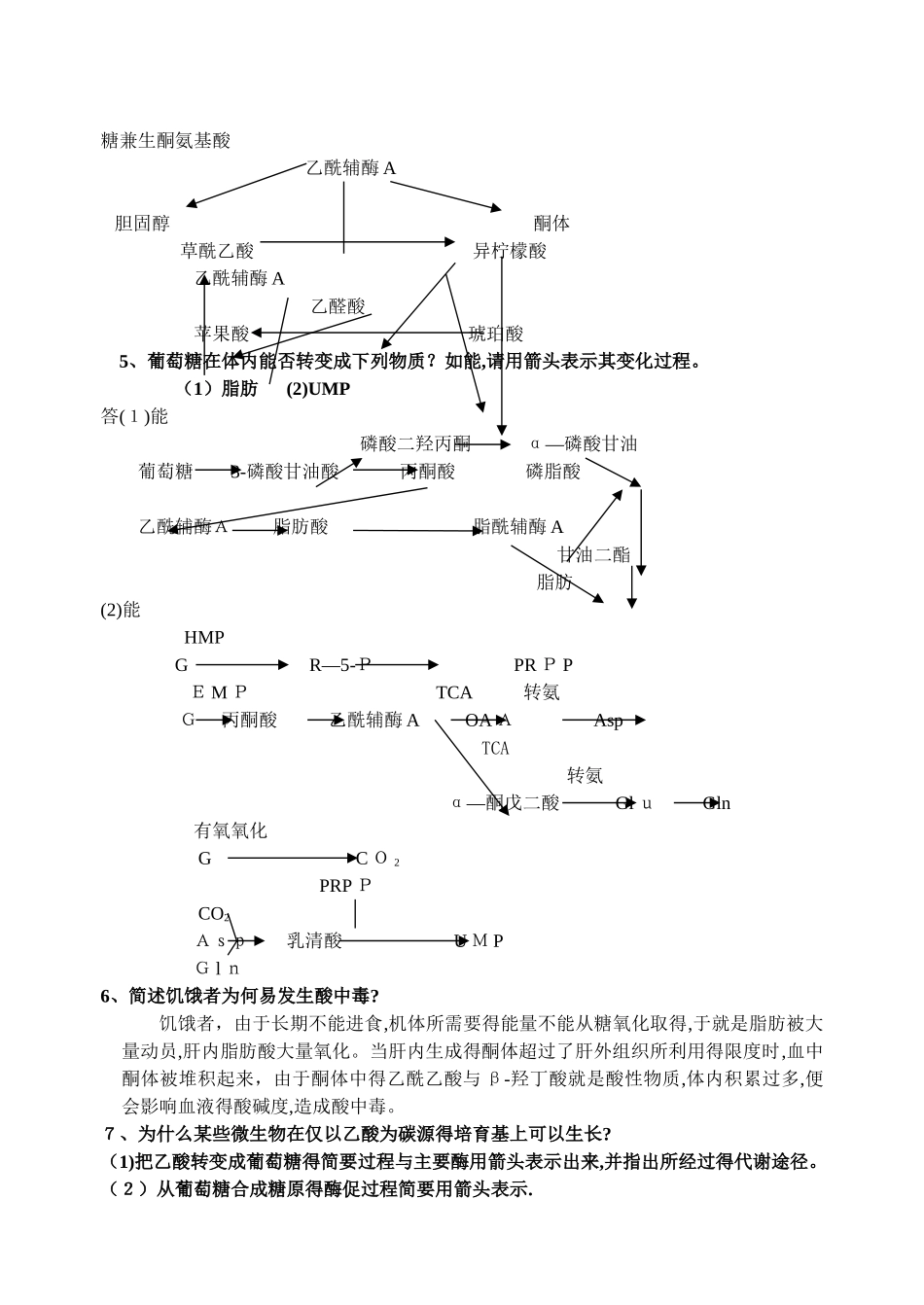 生物化学综合题_第2页