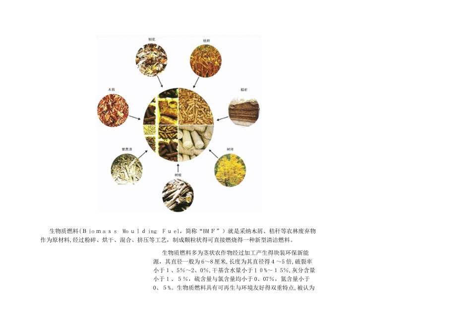 生物质燃料对比_第3页