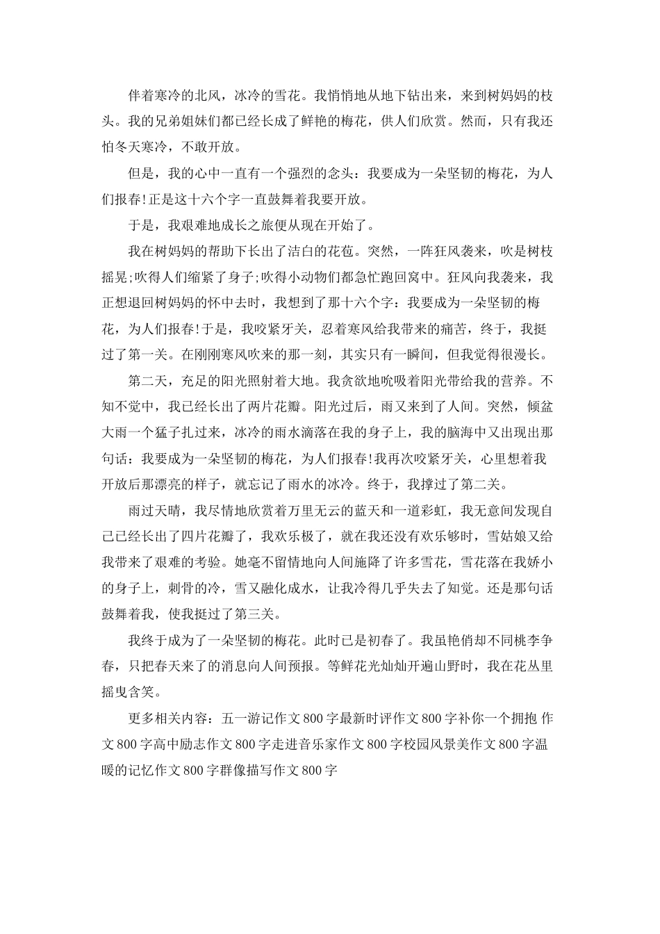 用梅花借物喻人作文800_第3页