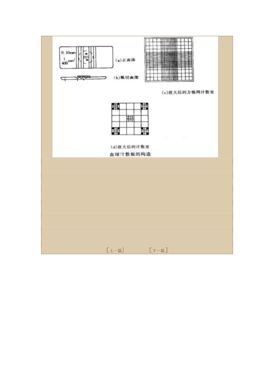 用血球计数板计数酵母菌个数的计算方法_第3页