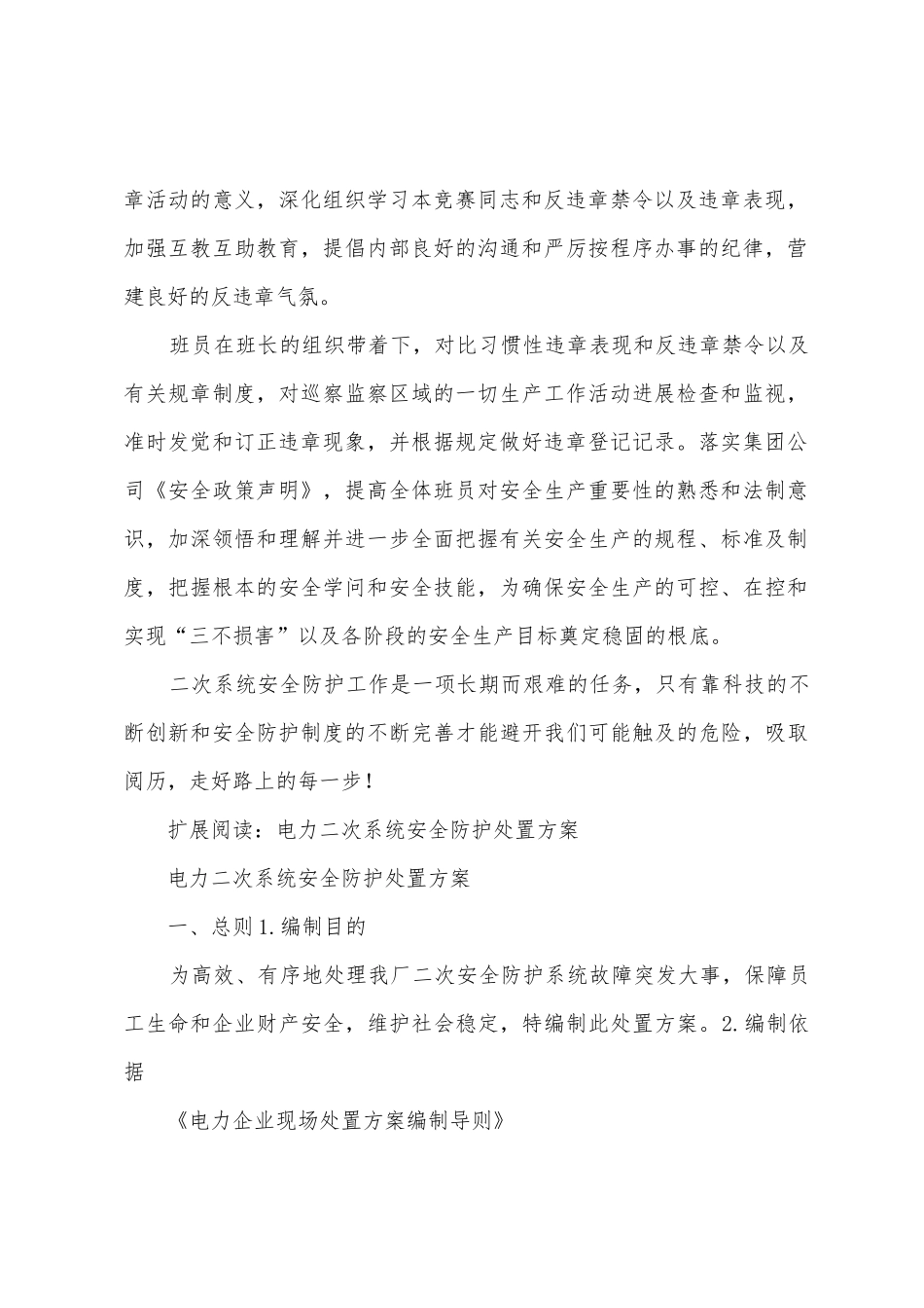 电力二次系统安全防护工作情况总结_第2页