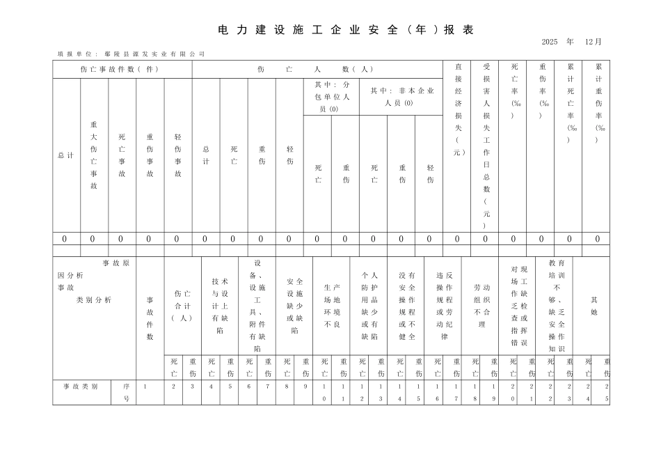 电力建设施工企业安全报表_第1页