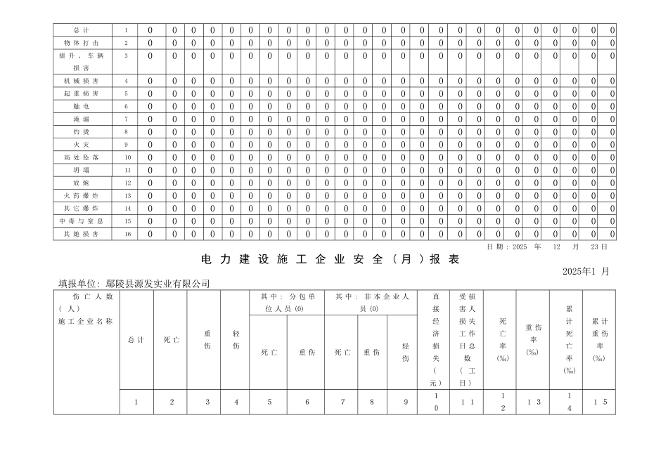 电力建设施工企业安全报表_第2页