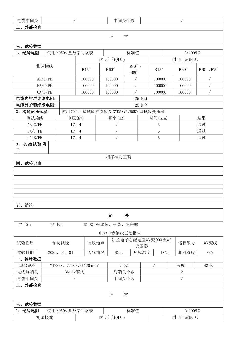 电力电缆绝缘试验报告_第2页