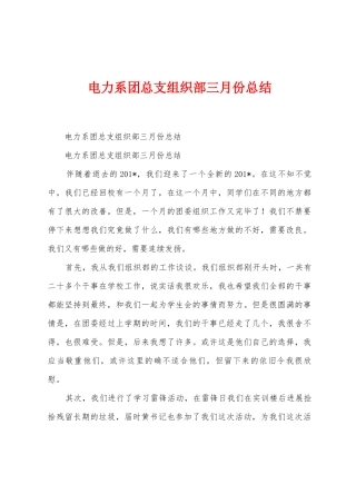 电力系团总支组织部三月份总结