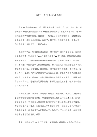 电厂个人专业技术总结