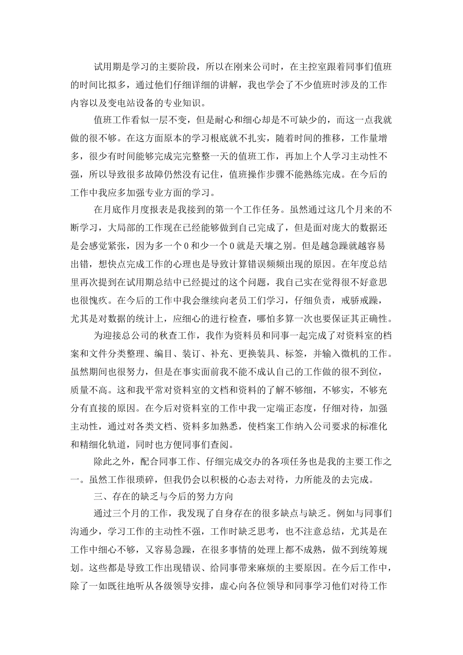 电厂新人个人工作总结范例分享_第2页