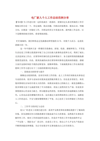 电厂新人个人工作总结范例分享
