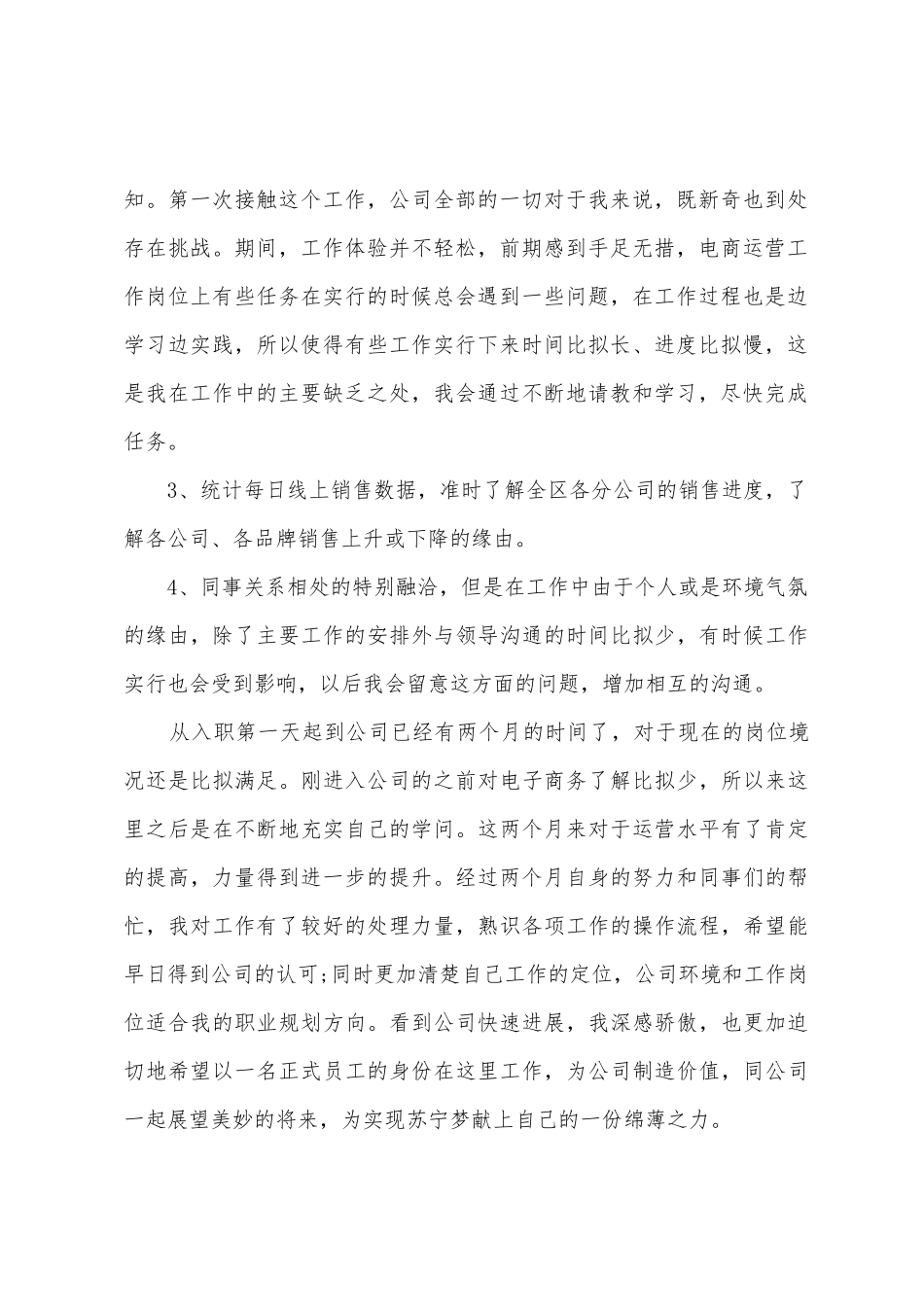 电商试用期工作总结_第2页