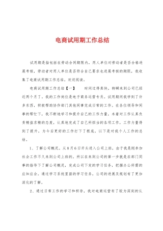 电商试用期工作总结