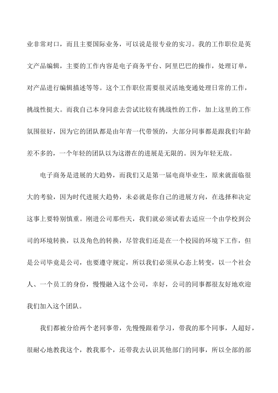 电商运营实习总结报告_第2页