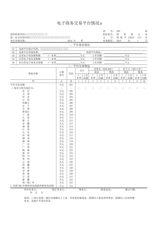 电子商务交易平台情况表（正式版）