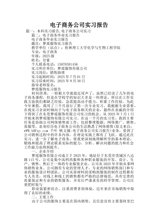 电子商务公司实习报告