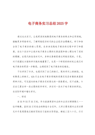 电子商务实习总结2025年字