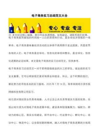 电子商务实习总结范文大全