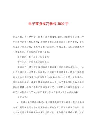 电子商务实习报告5000字