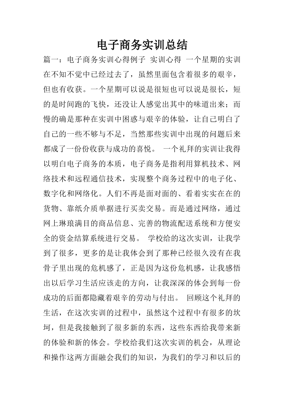 电子商务实训总结_第1页