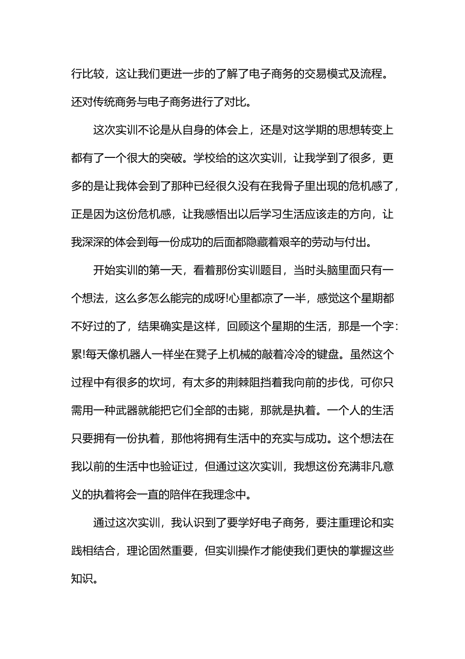 电子商务实训暑期实习报告_第2页