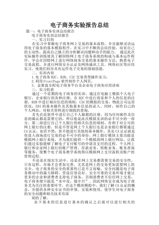 电子商务实验报告总结