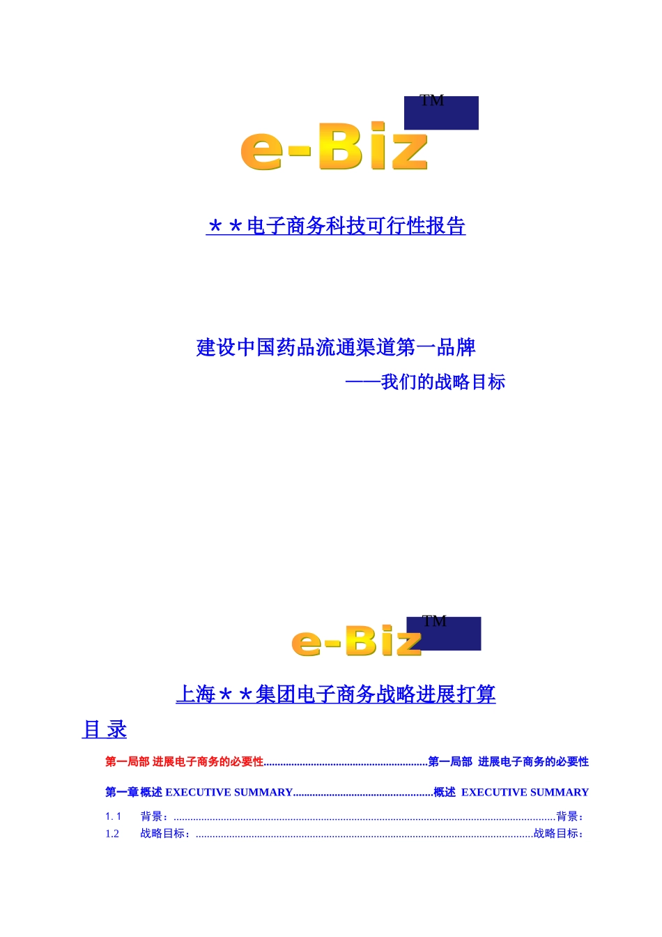 电子商务科技有限公司可行性报告_第2页