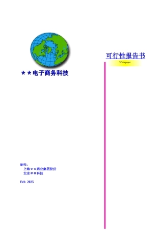电子商务科技有限公司可行性报告