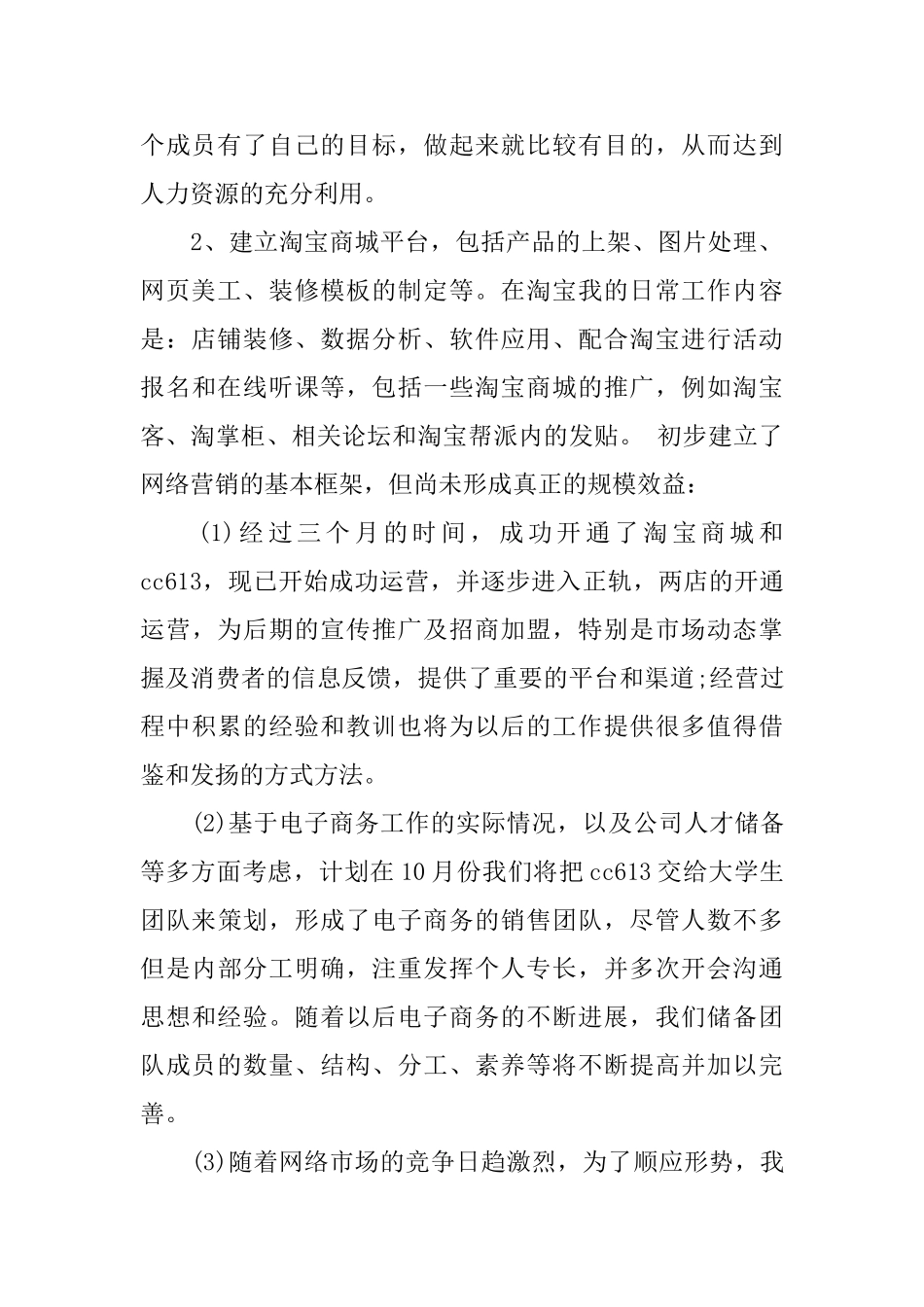 电子商务经理个人年终工作总结模版_第2页