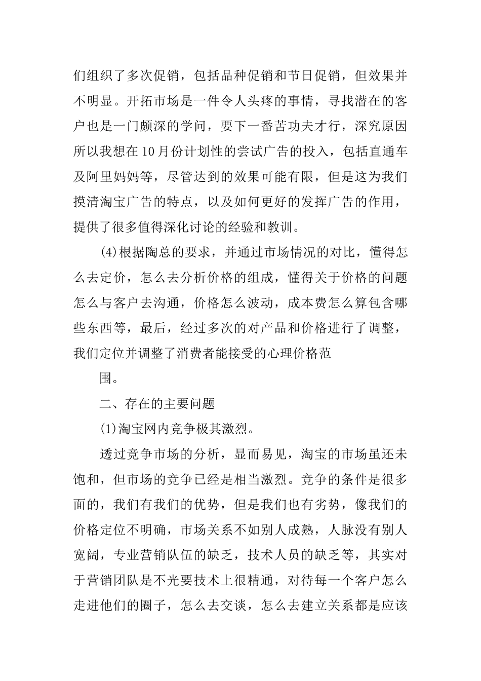 电子商务经理个人年终工作总结模版_第3页