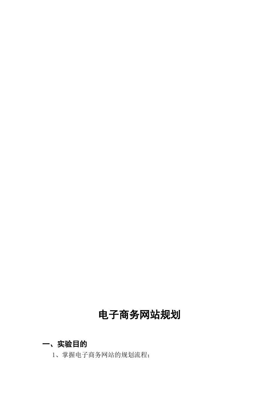 电子商务网站规划_第2页