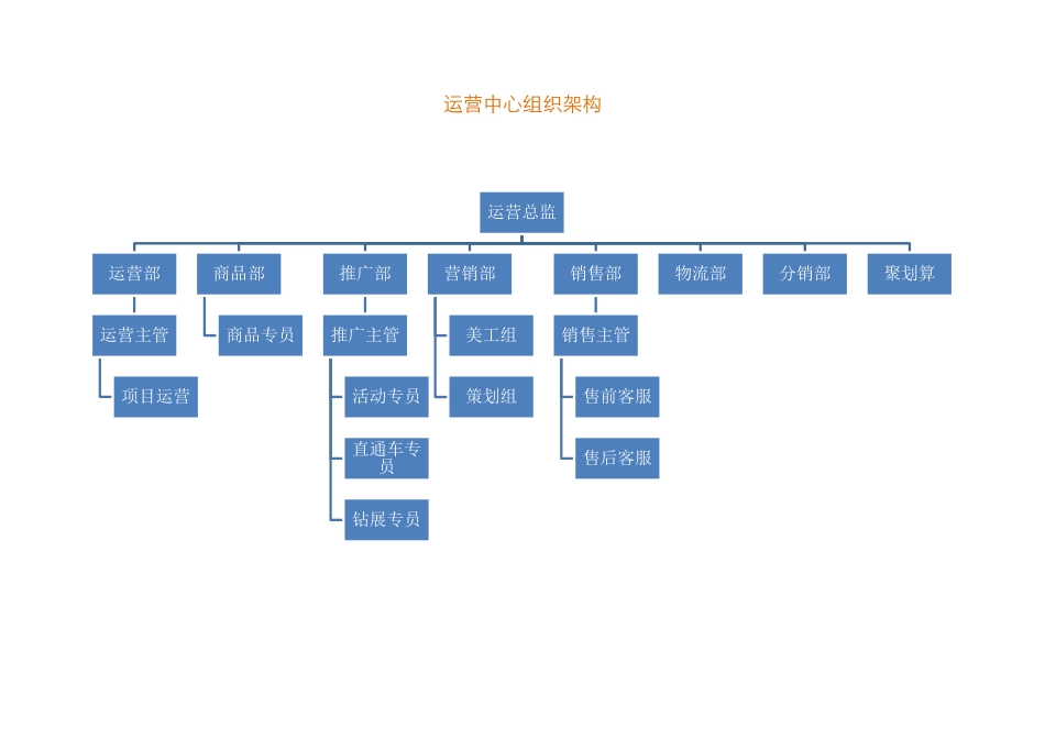 电子商务运营部企业组织结构与岗位职责_第3页