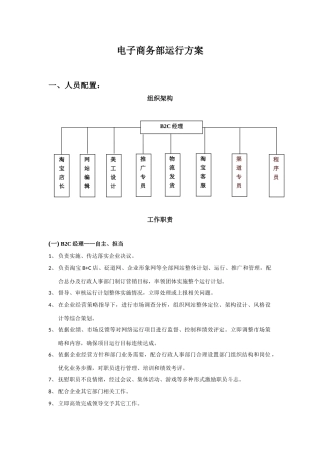 电子商务部运营专项方案实战专项方案