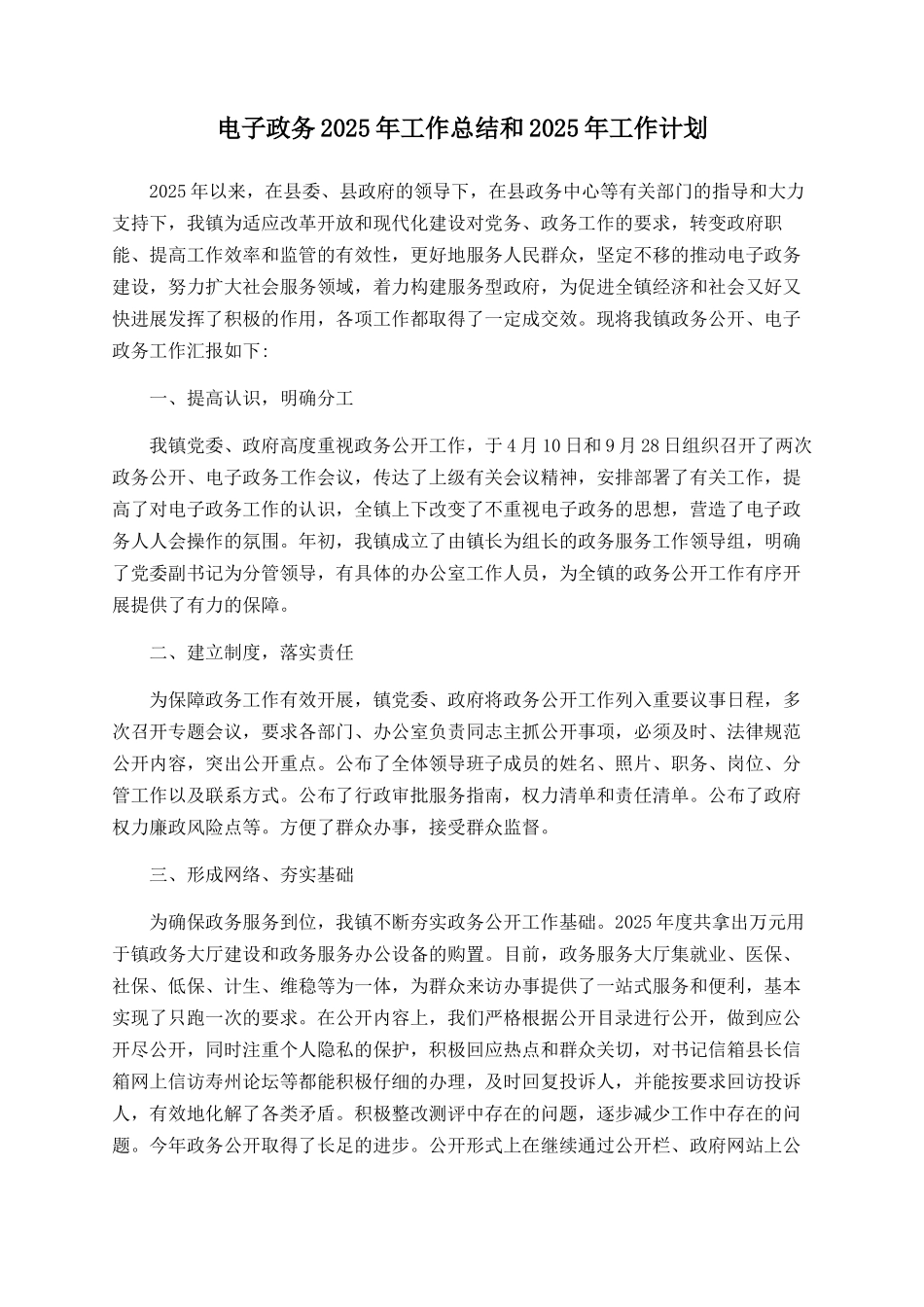 电子政务2025年工作总结和2025年工作计划_第1页