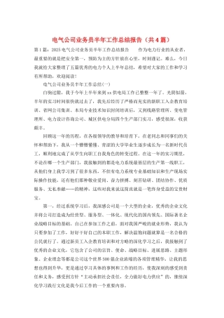 电气公司业务员半年工作总结报告