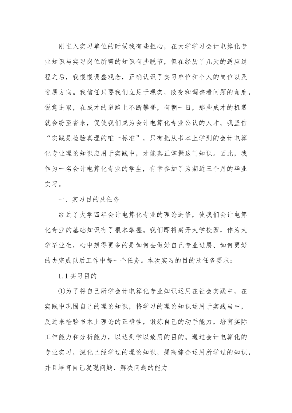 电算会计实习报告_第3页