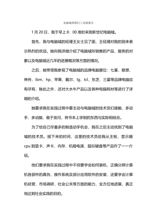 电脑城寒假打工实践报告