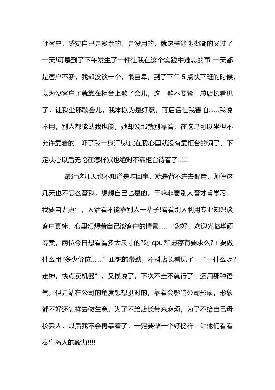 电脑销售社会实践报告4篇_第3页