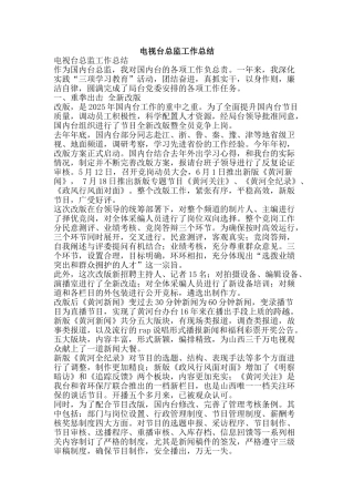 电视台总监工作总结-精品范文资料