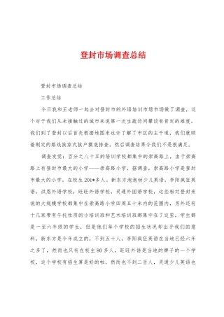 登封市场调查总结