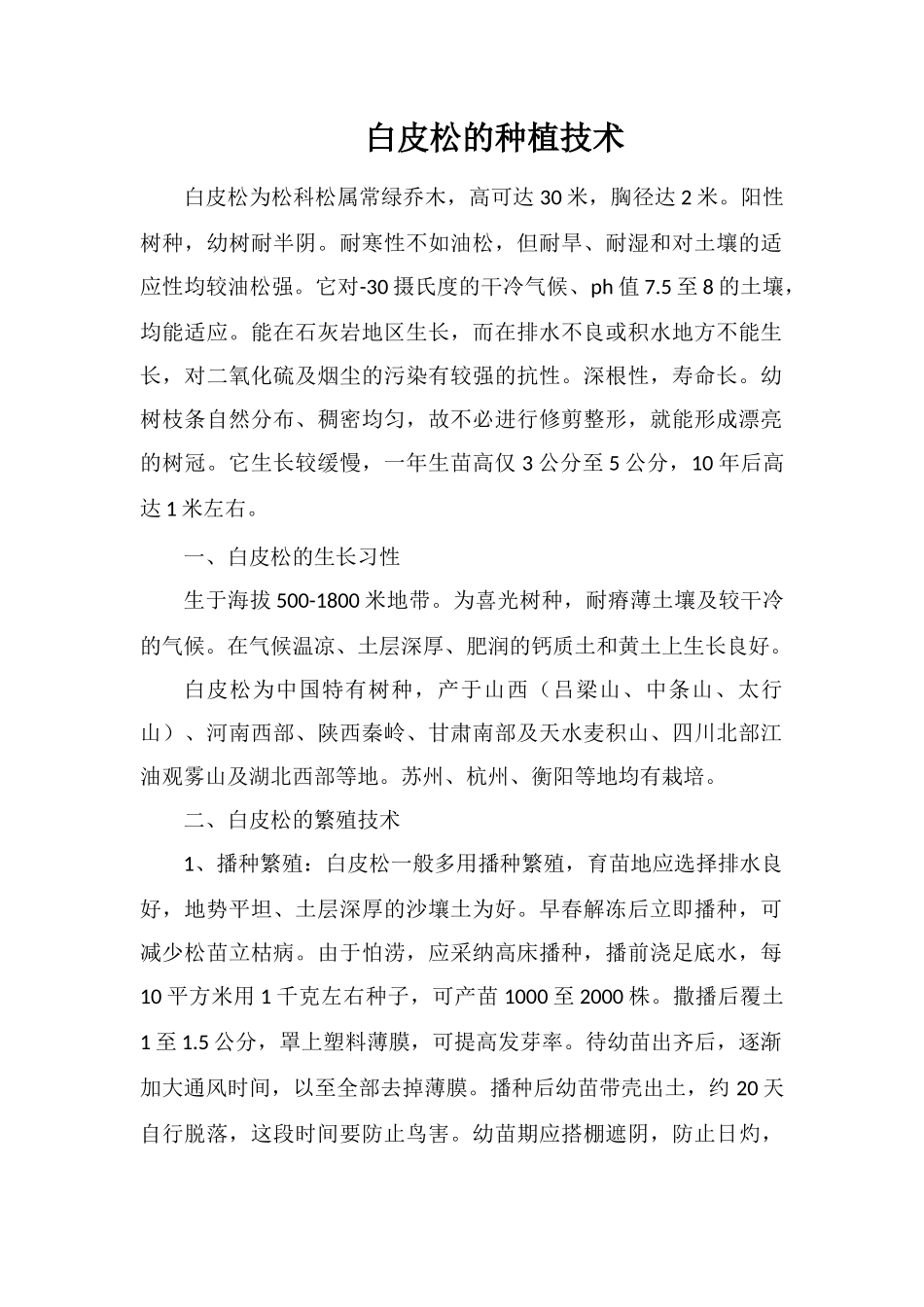 白皮松的种植技术_第1页