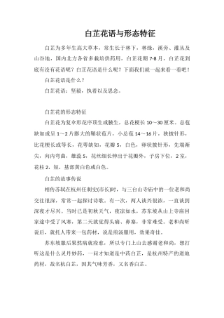 白芷花语与形态特征