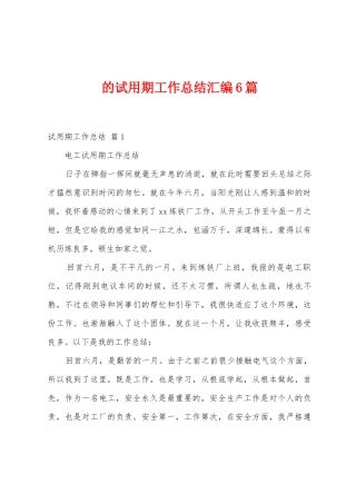 的试用期工作总结汇编6篇