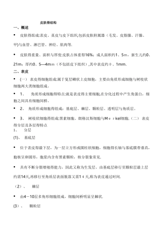 皮肤组织的正常结构及细胞功能