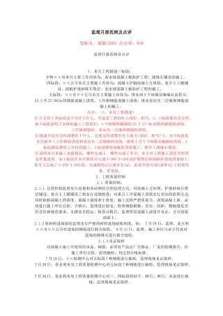 监理月报范例及点评