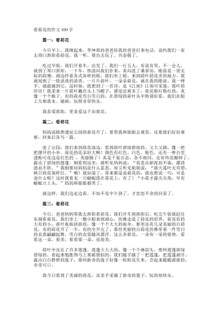 看荷花的作文400字