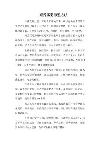 短舌匹菊养殖方法
