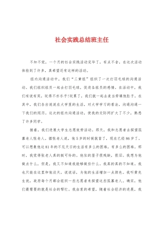 社会实践总结班主任