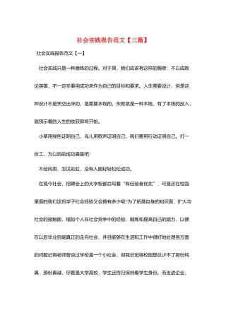社会实践报告范文