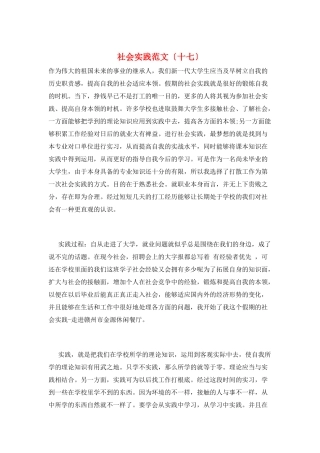 社会实践范文(十七)