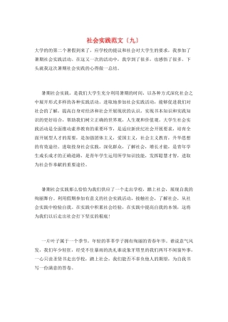 社会实践范文(九)