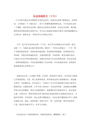 社会实践范文(十六)